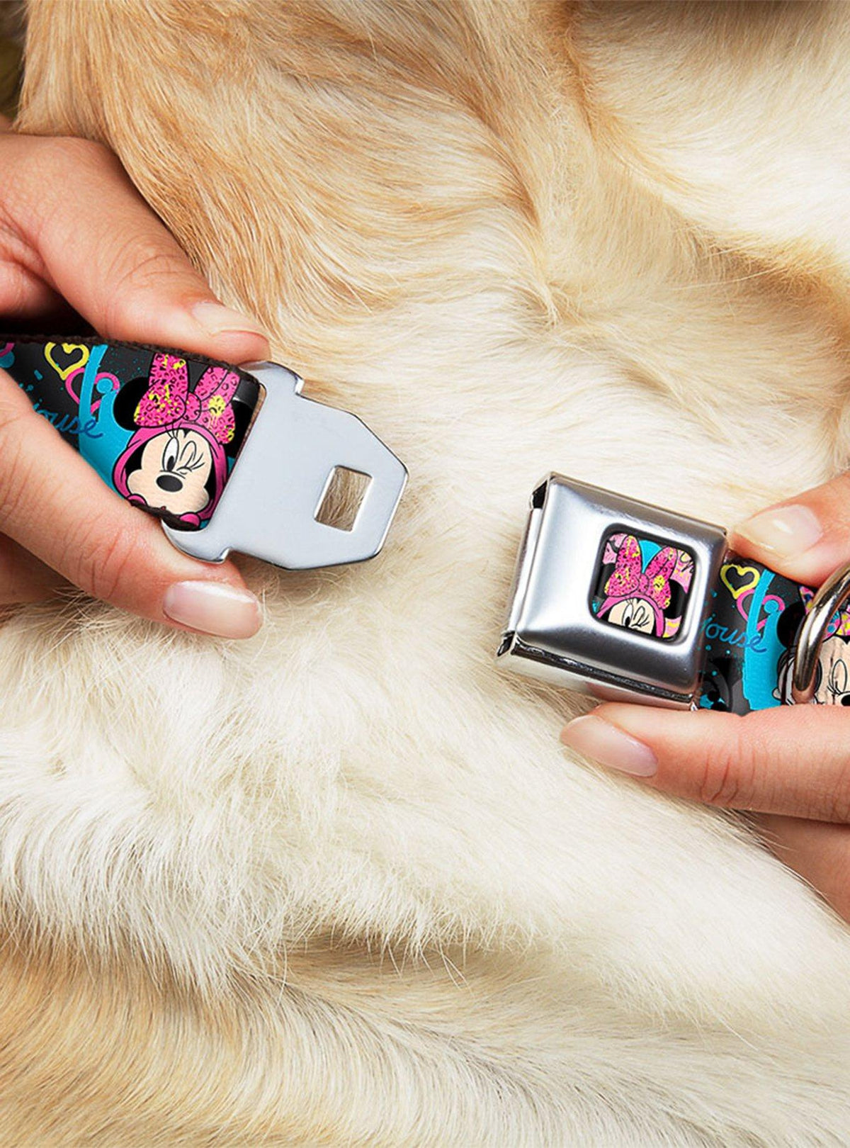 Collar para perro de Minnie Mouse con hebilla de cinturón