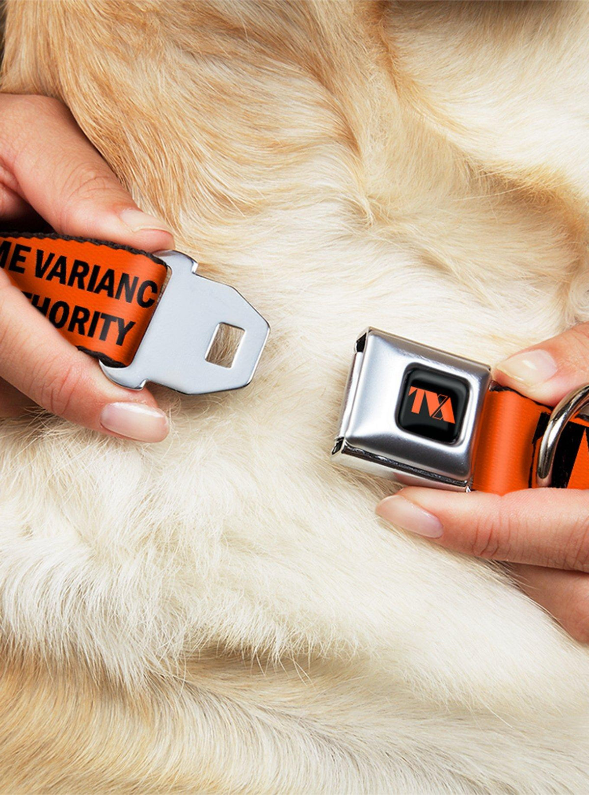 Collar para perro de Loki con hebilla tipo cinturón de seguridad