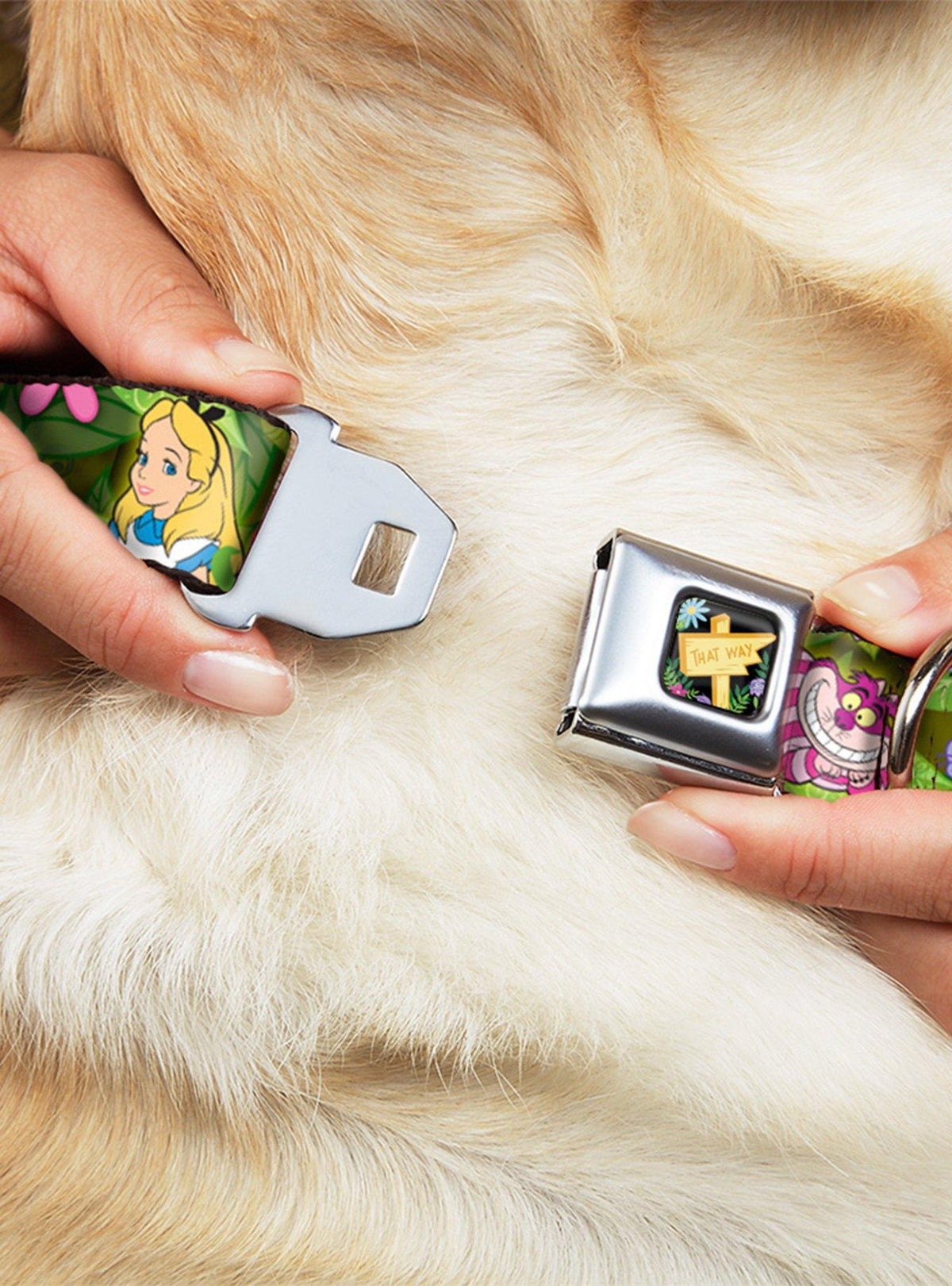 Collar para perro Disney Gato de Cheshire con flores