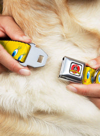 Looney Tunes: Collar para perro con hebilla de Tweety Bird