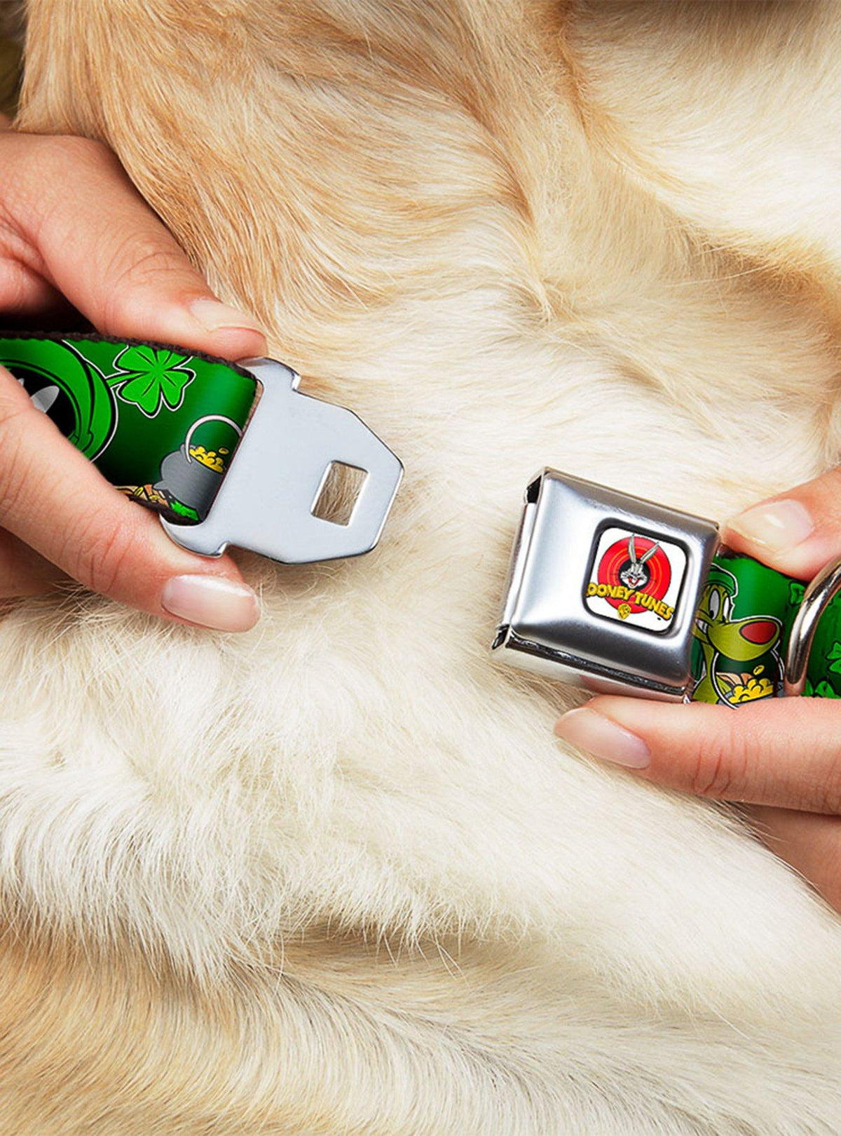 Collar para perro Looney Tunes Marvin the Martian y K-9