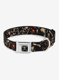 Collar para perro Disney Pirates of the Caribbean
