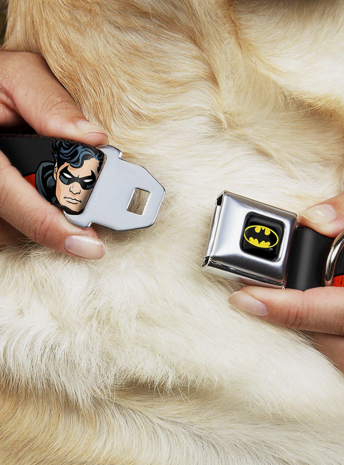 Collar para perro Robin de DC Comics