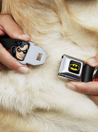 Collar para perro Robin de DC Comics