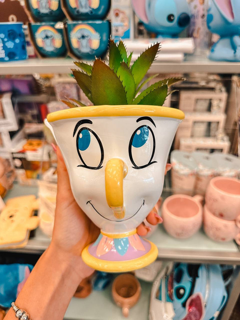 Suculenta Disney - Chip de la Bella y la Bestia