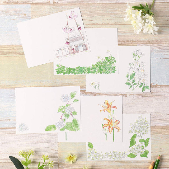 Postales del bosque de Totoro: primavera y verano