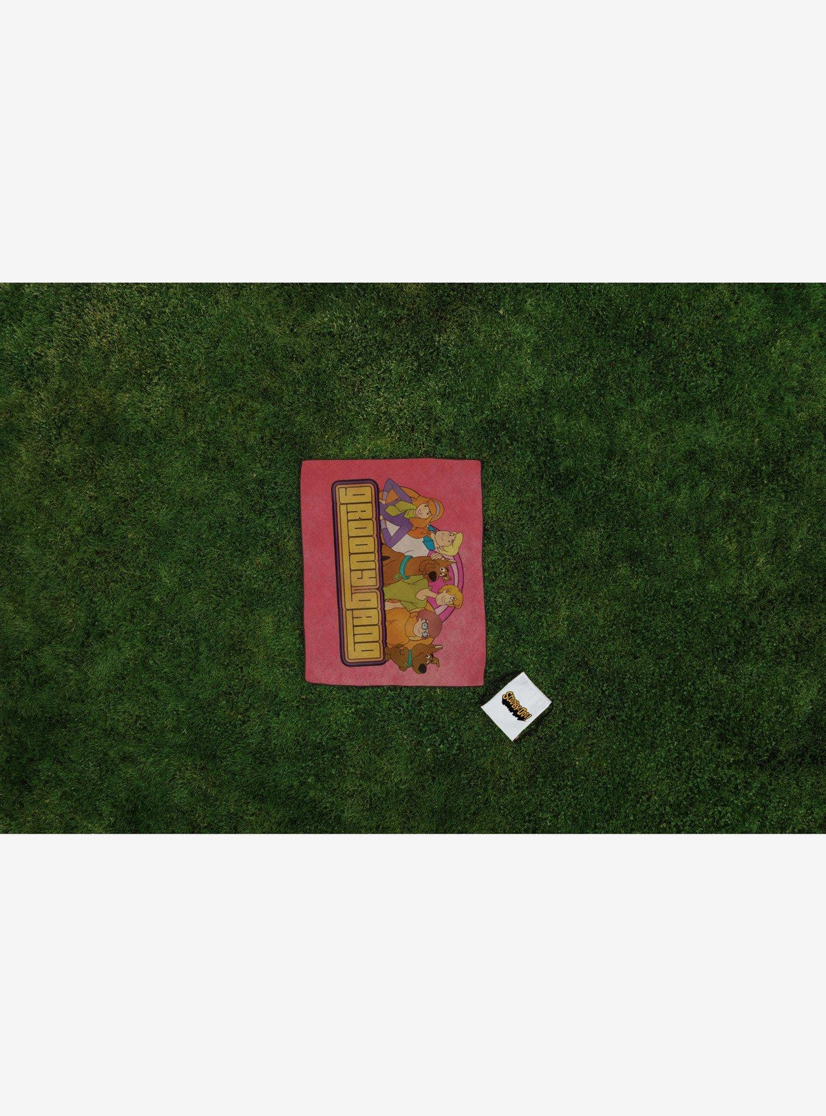 Manta de picnic Scooby-Doo