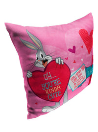 Cojín Looney Tunes Carta de amor