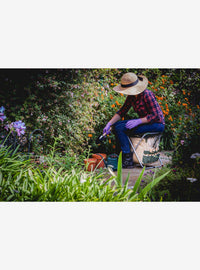 Disney Winnie the Pooh: silla plegable de jardinería con herramientas