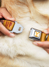 Yellowstone: collar para perro con hebilla tipo cinturón
