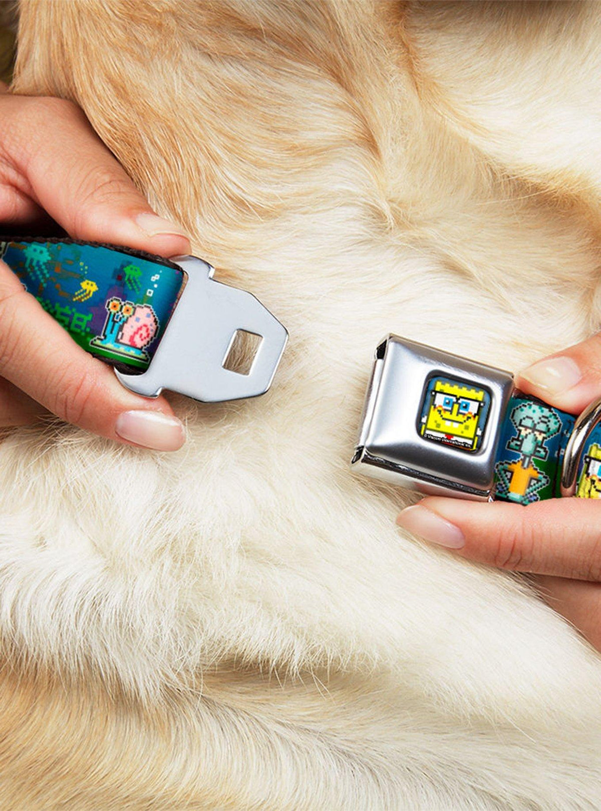 Collar para perro SpongeBob SquarePants, escena 8 bits