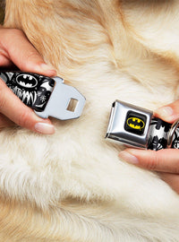 Collar para perro Batman: collage de grafitis de Gotham City