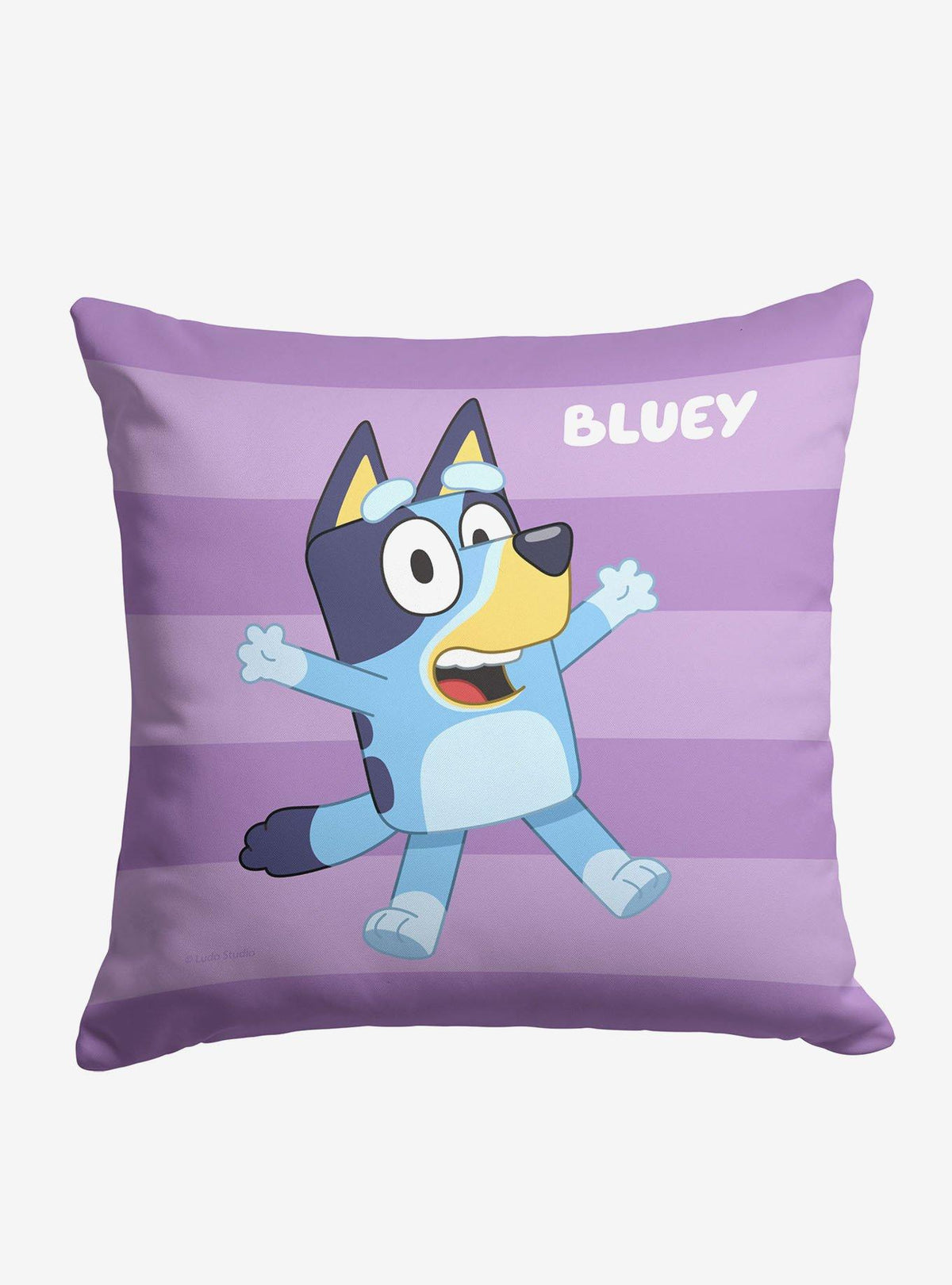 Cojín estampado Bluey Roll Call