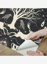 Papel mural adhesivo Harry Potter Horcrux negro