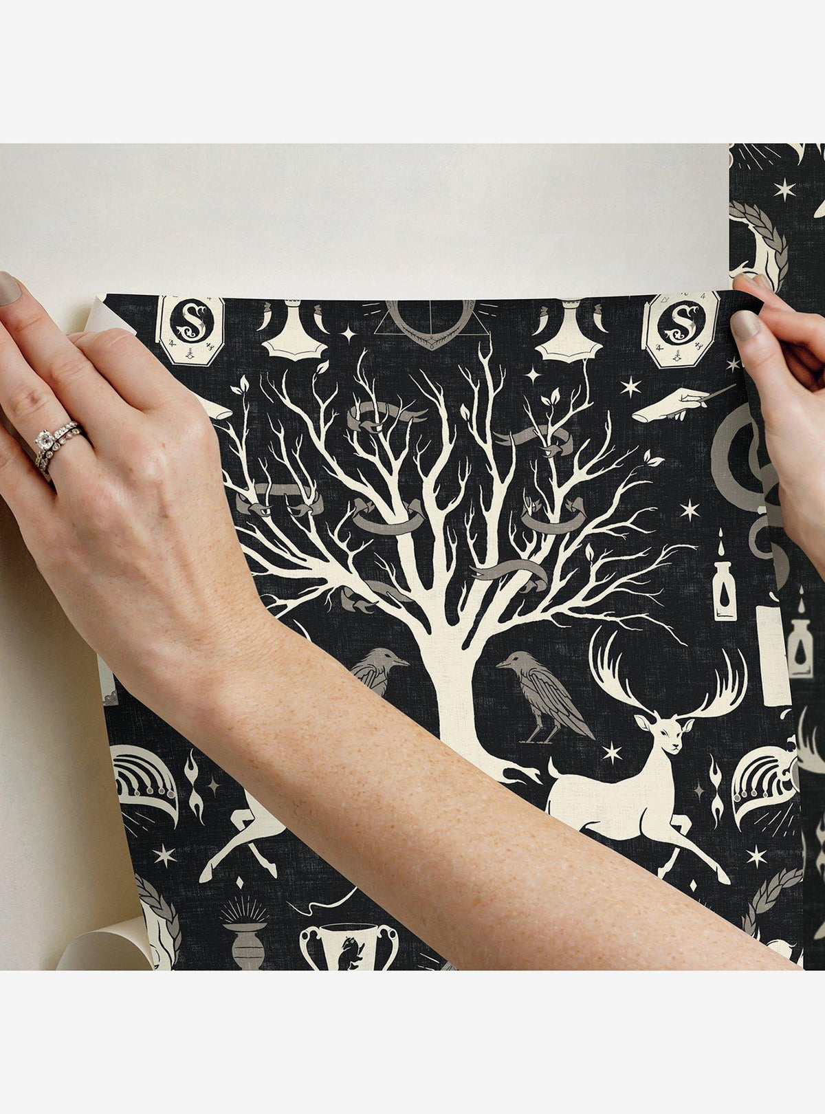 Papel mural adhesivo Harry Potter Horcrux negro