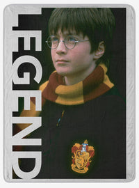 Manta Harry Potter Legend de micro Raschel