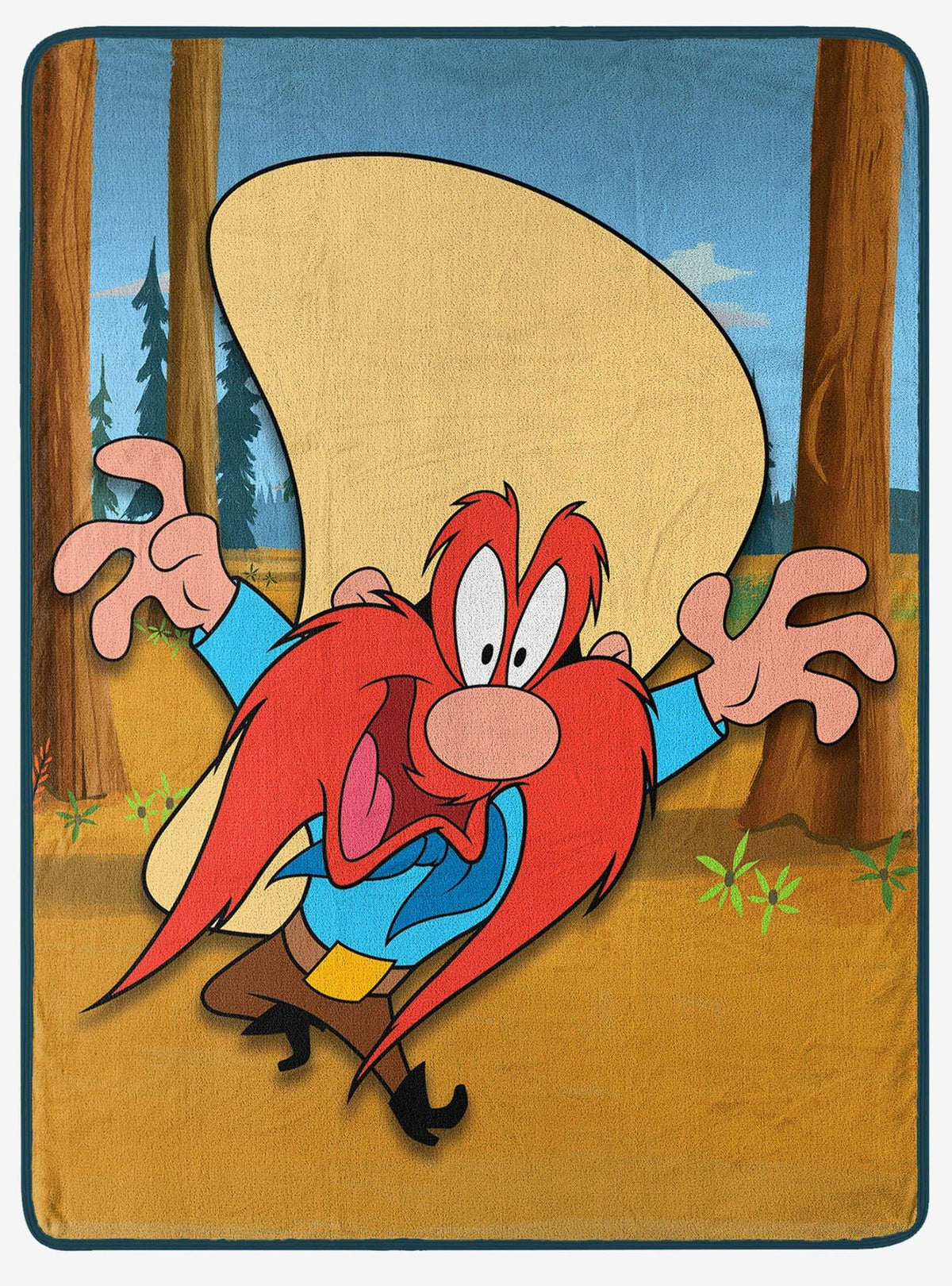 Manta Micro Raschel Looney Tunes Namby Bamby