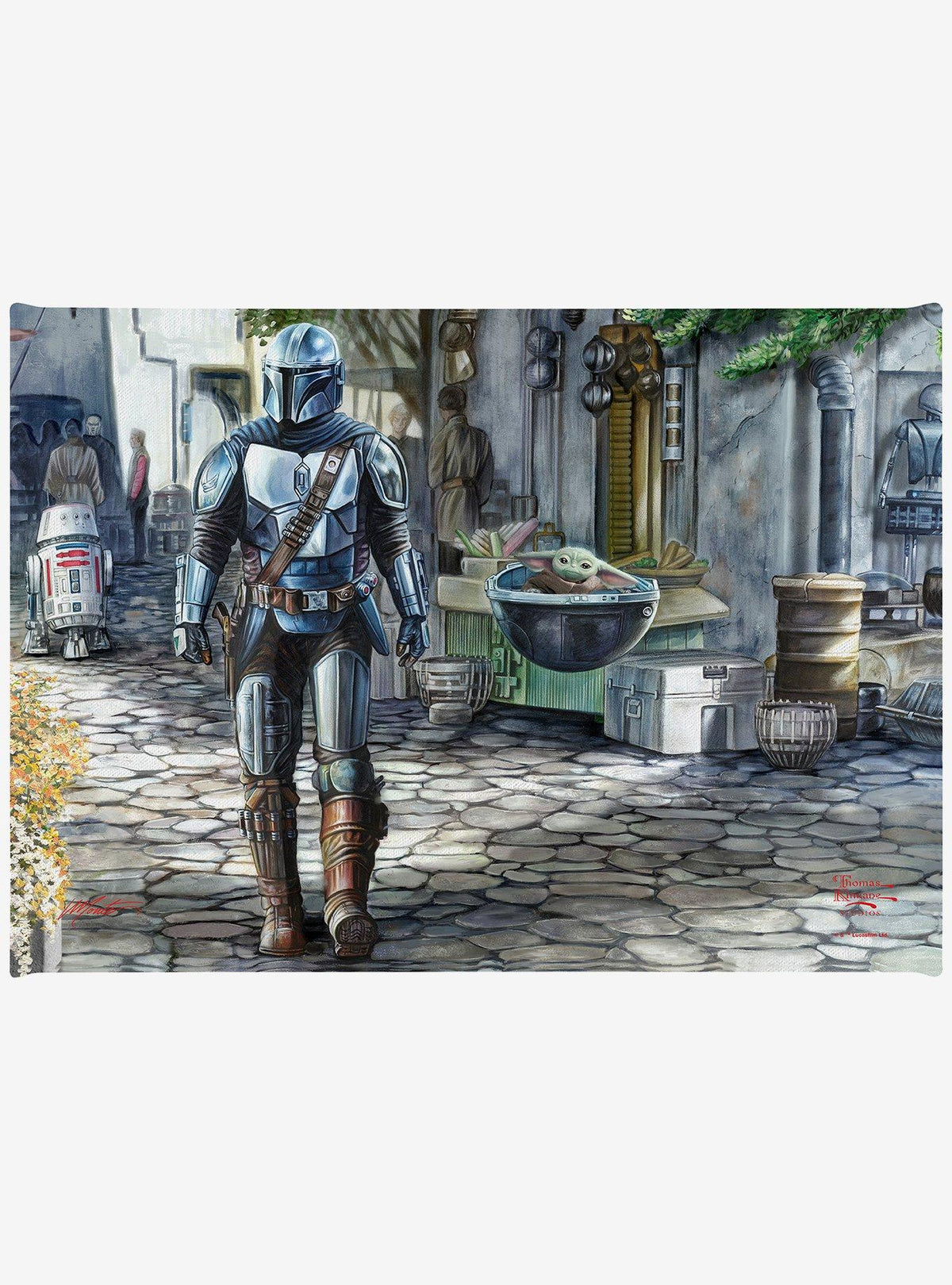 Cuadro en lienzo Star Wars: The Mandalorian, A Welcome Sight