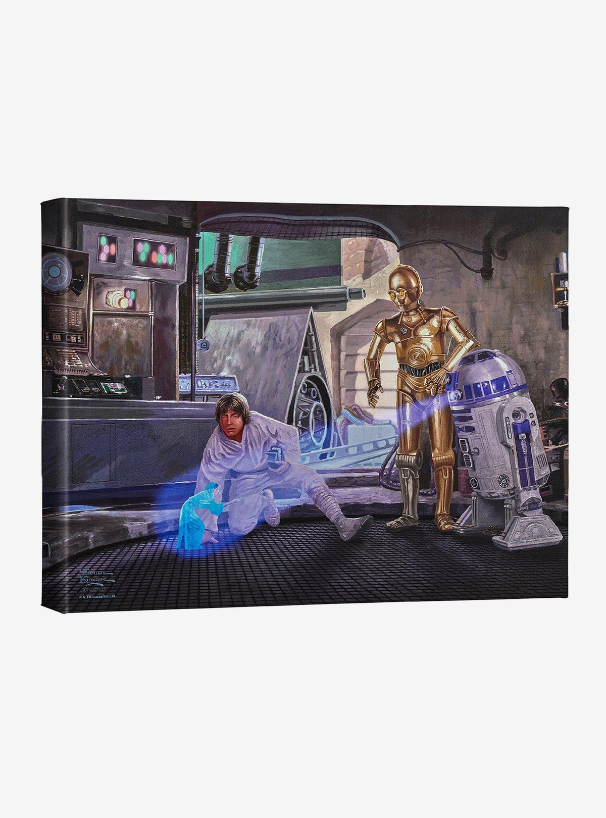Cuadro en lienzo Star Wars: Eres mi única esperanza