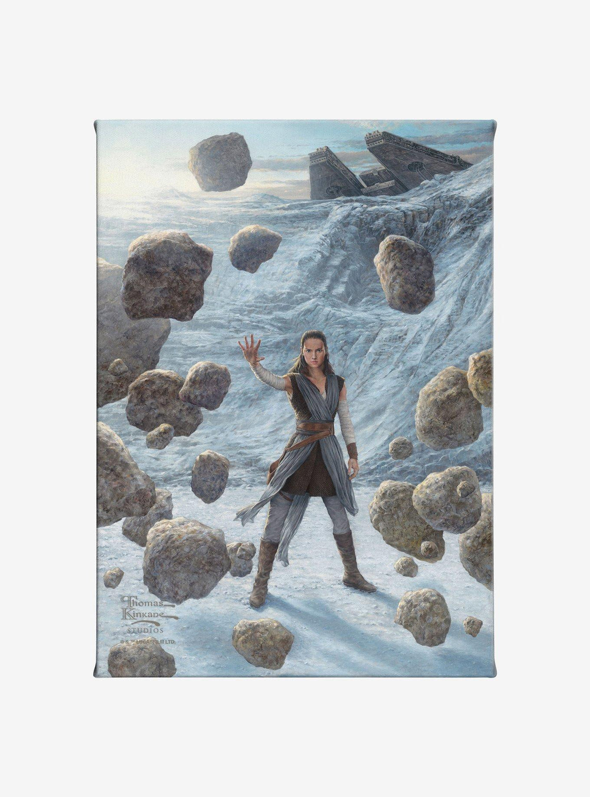 Cuadro en lienzo Star Wars: Rey of Hope