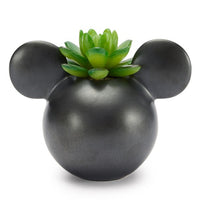Portasuculenta cerámico de Mickey Mouse