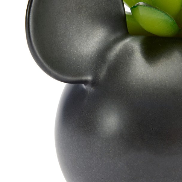 Portasuculenta cerámico de Mickey Mouse