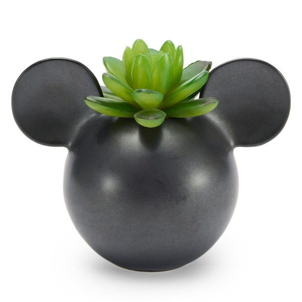Portasuculenta cerámico de Mickey Mouse