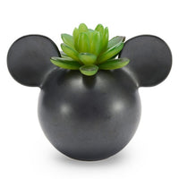 Portasuculenta cerámico de Mickey Mouse