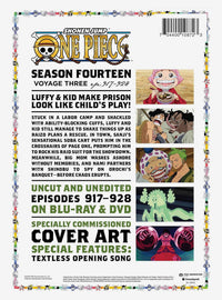 One Piece: Temporada 14, Volumen 3 en Blu-ray