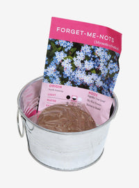Mini kit de cultivo de nomeolvides
