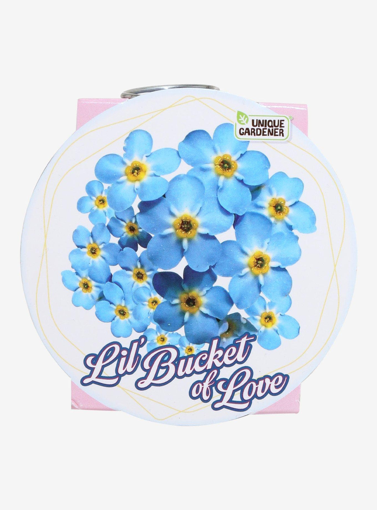 Mini kit de cultivo de nomeolvides