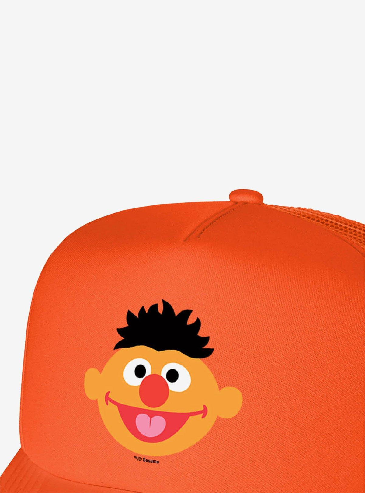 Jockey trucker de espuma Ernie de Sesame Street