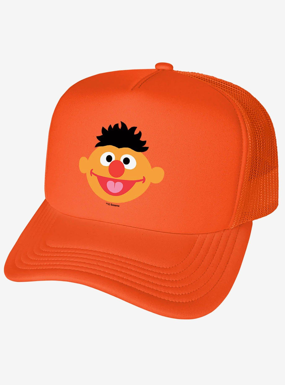 Jockey trucker de espuma Ernie de Sesame Street