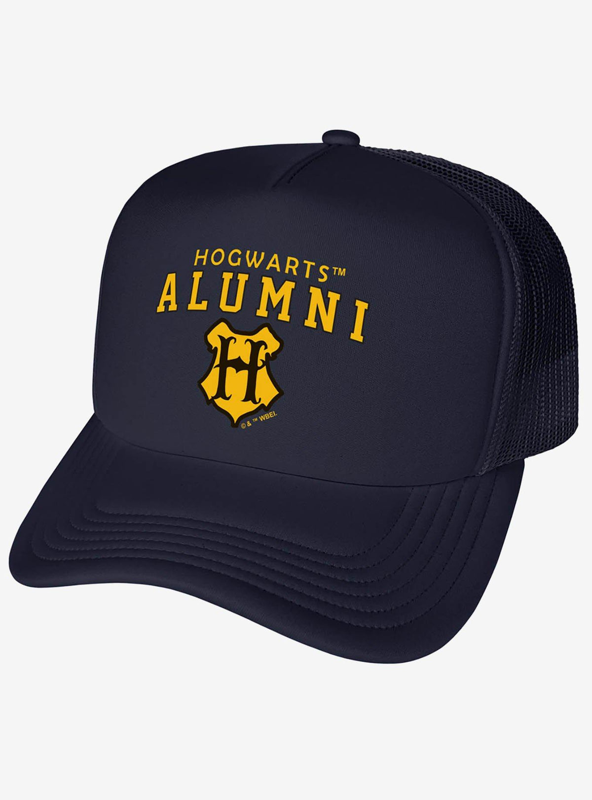 Jockey de espuma Harry Potter Hogwarts Alumni