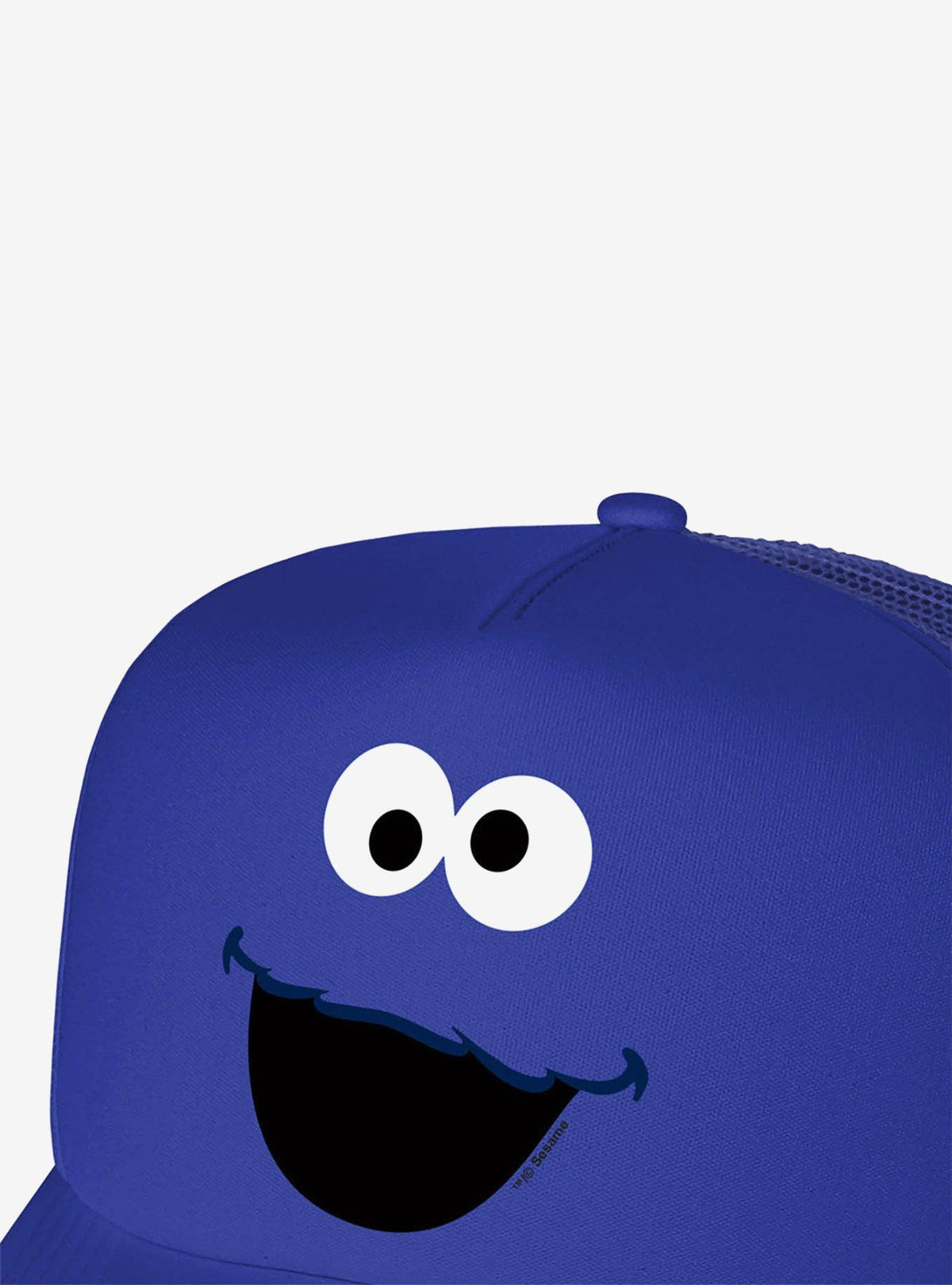 Jockey de espuma Cookie Monster - Sesame Street