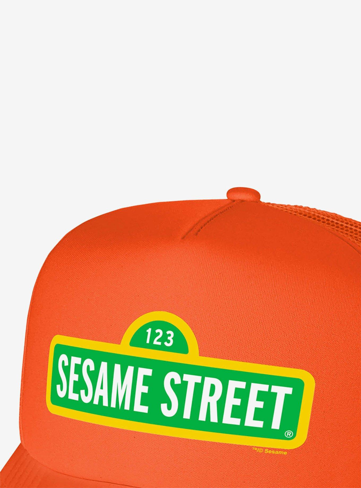 Jockey Trucker de Espuma con Logo de Sesame Street