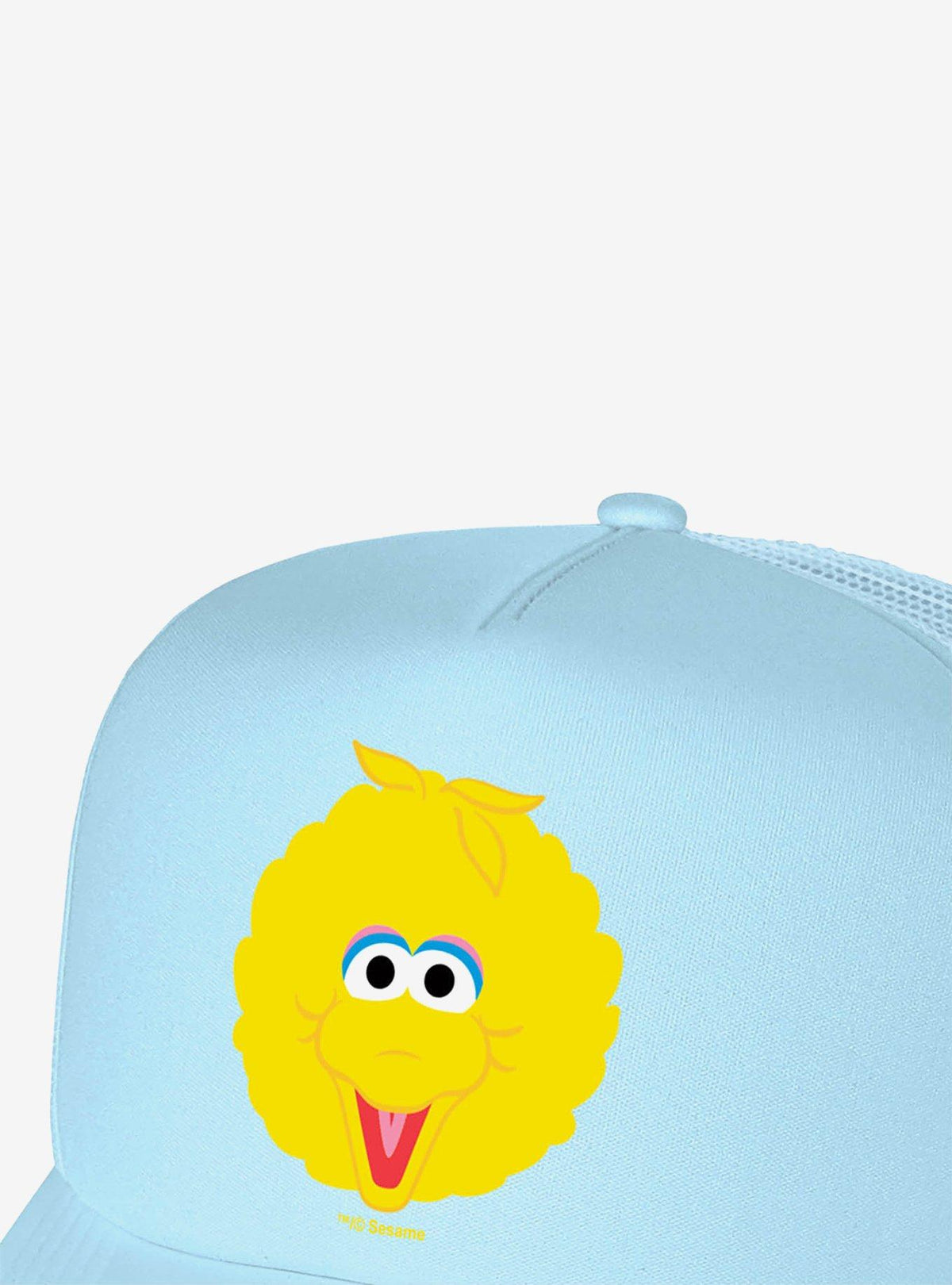 Jockey trucker de espuma con diseño de Big Bird
