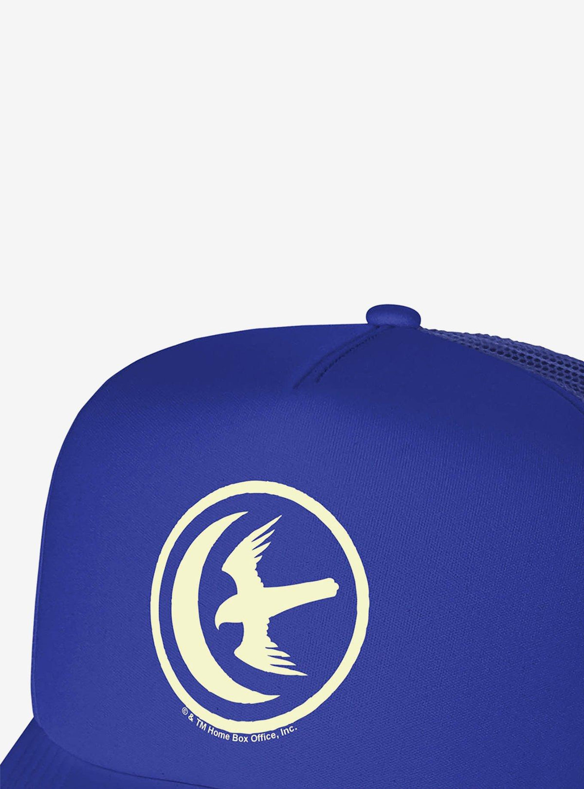 Jockey trucker de espuma Arryn - Game of Thrones