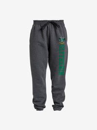 Pantalón jogger universitario Slytherin - Harry Potter
