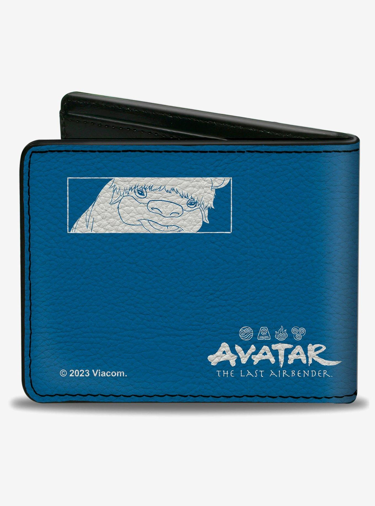 Billetera Avatar: La leyenda de Aang con diseño de Aang