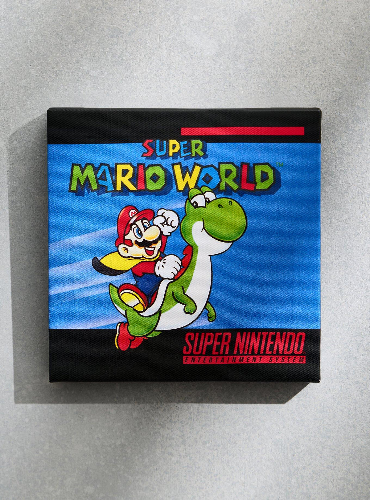Cuadro de pared Super Mario World