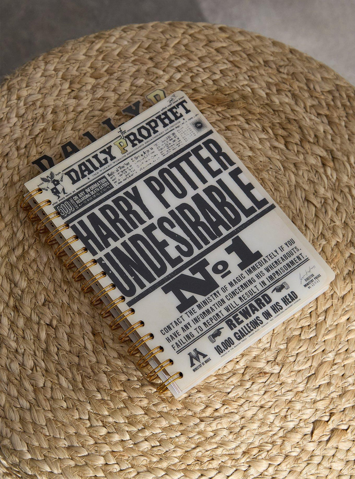 Diario Harry Potter El Profeta: Indeseable N.º 1
