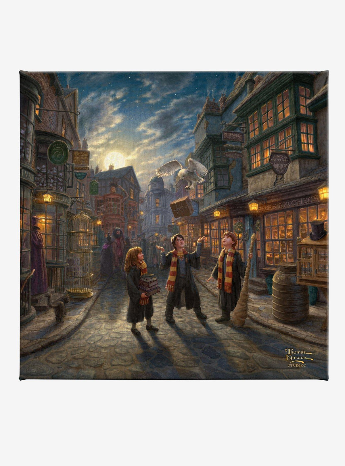 Cuadro en lienzo Harry Potter: Callejón Diagon