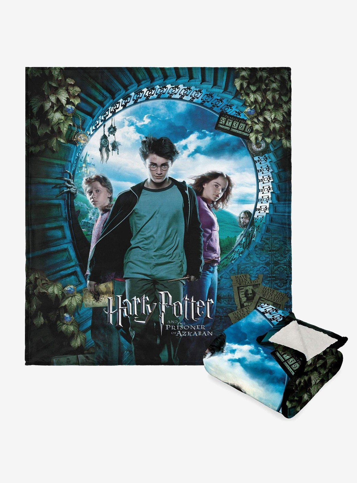Manta Sherpa de toque sedoso Harry Potter Core Three