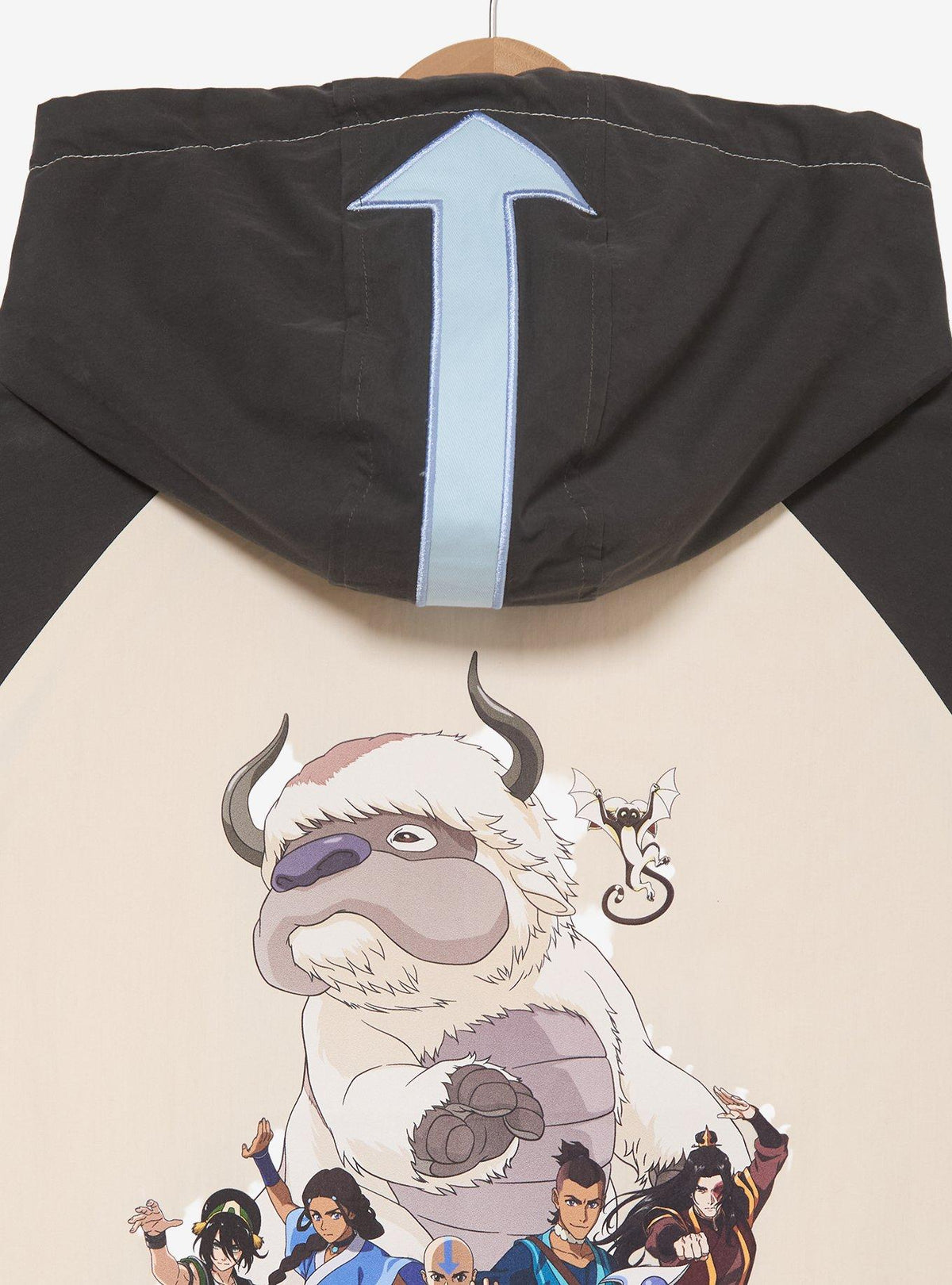 Chaqueta cortaviento Avatar: La leyenda de Aang