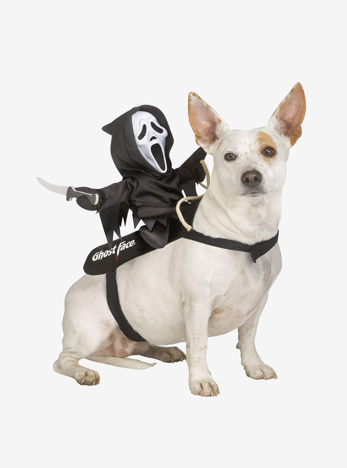 Disfraz para mascota con Ghost Face
