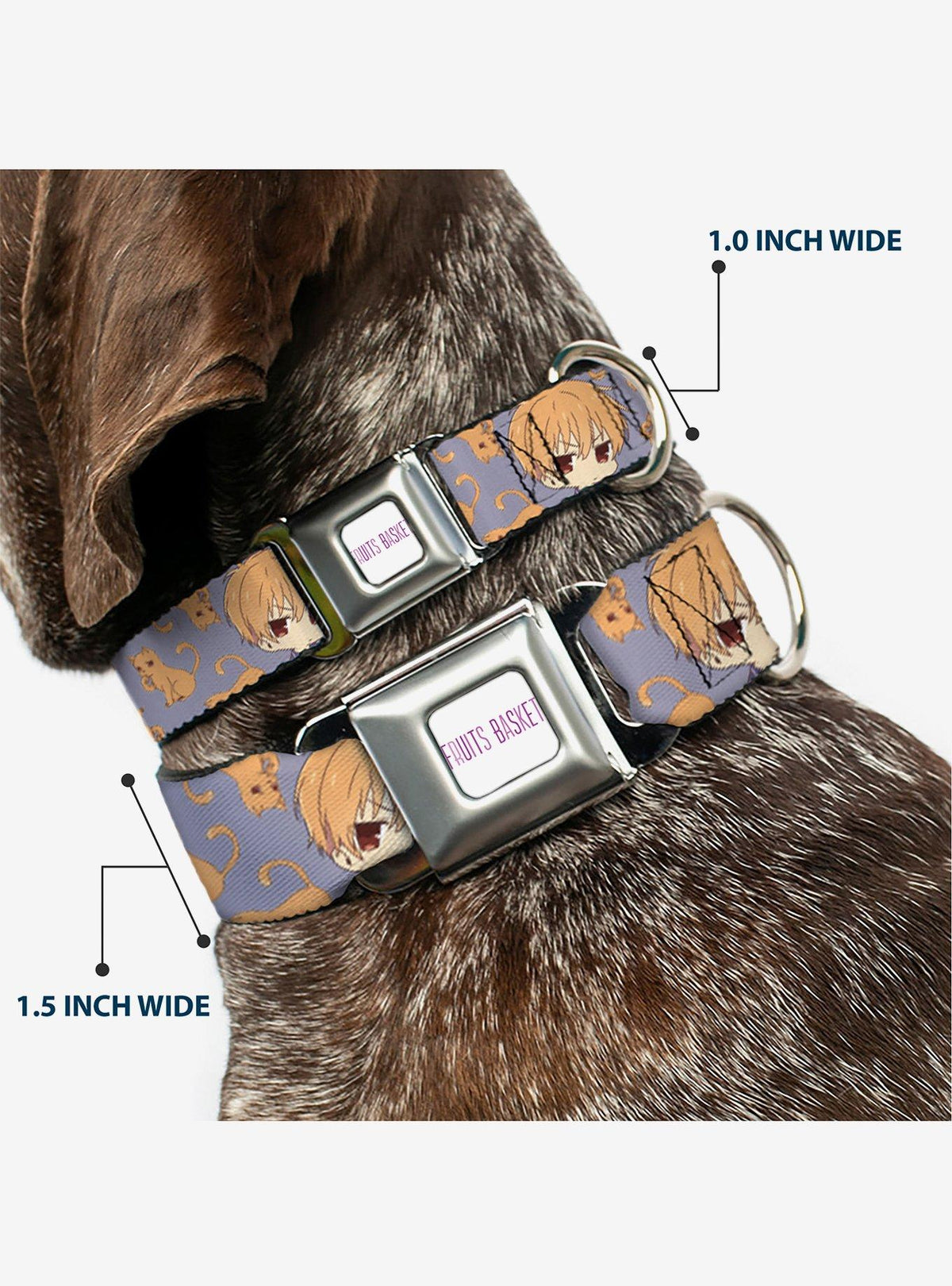 Collar para perro Fruits Basket con hebilla tipo cinturón