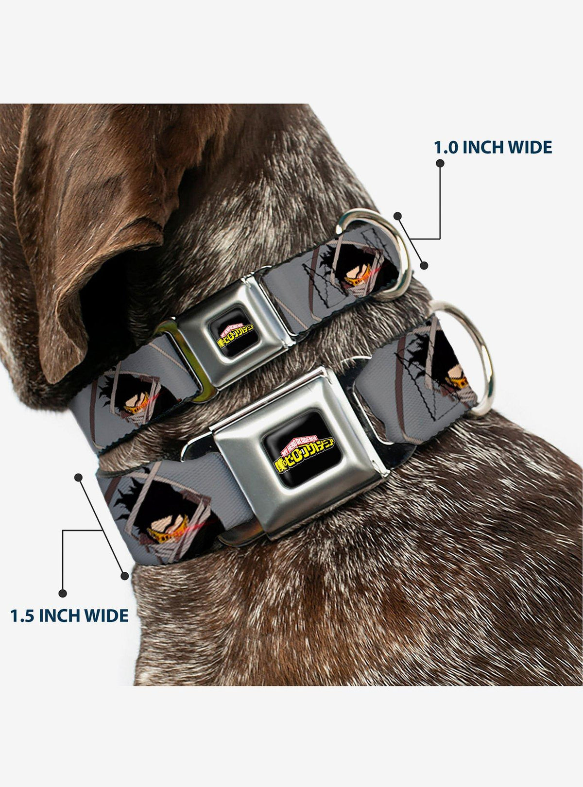 Collar para perro My Hero Academia: Shota Aizawa