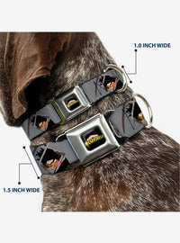 Collar para perro My Hero Academia: Shota Aizawa