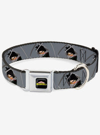 Collar para perro My Hero Academia: Shota Aizawa